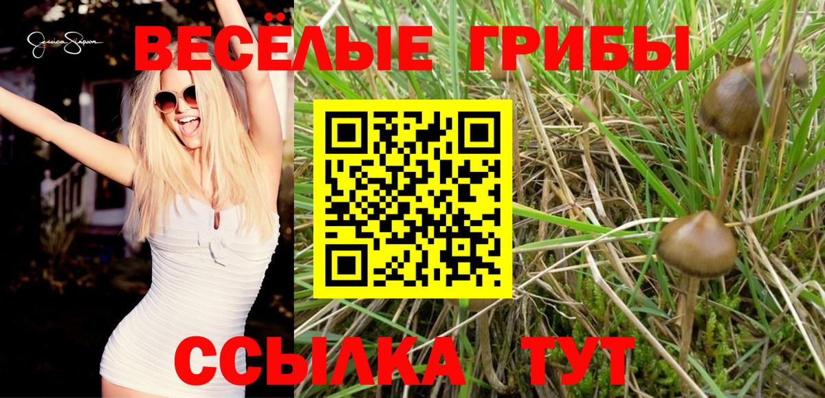 Псилоцибиновые грибы прущие грибы  Вход с VPN  Псилоцибиновые грибы мицелий  Дальнереченск 